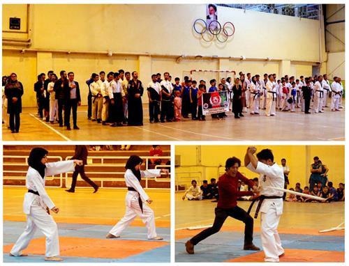 جشنواره ورزش های رزمی ویژه اتباع و مهاجرین در باقر شهر برگزار شد