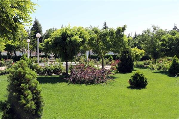 مرکز خدمات اداری سلیمانخانی